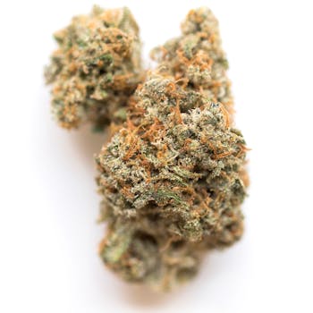 OGKB cannabis strain