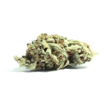 Silver Haze cannabis strain
