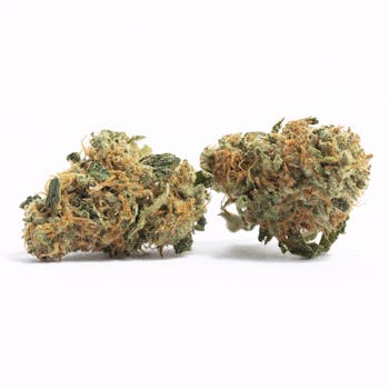 Cake Batter cannabis strain
