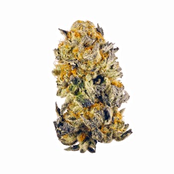 Purple Cookies cannabis strain