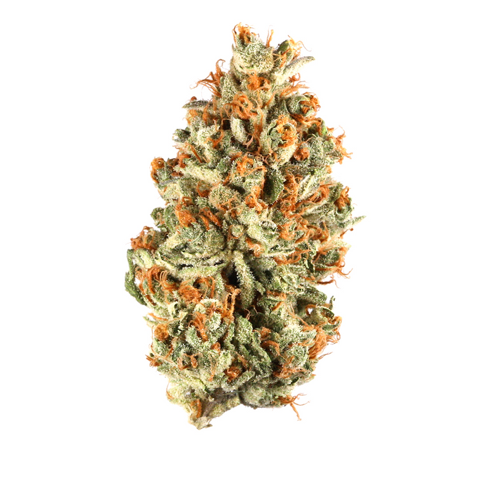 Platinum OG cannabis strain