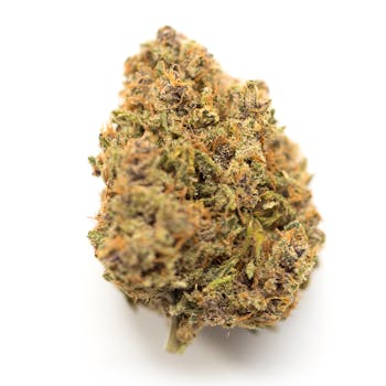 Platinum Punch cannabis strain