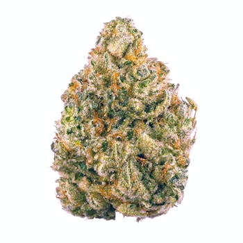 White Buffalo cannabis strain