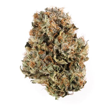 Platinum Bubba Kush cannabis strain