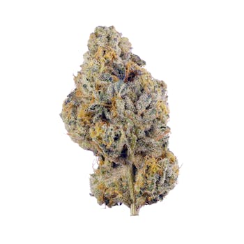 Garlic cannabis strain