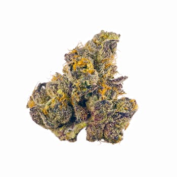 Sherbacio cannabis strain