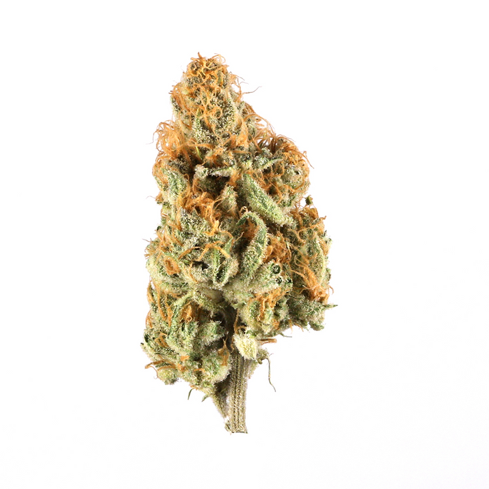 Motorbreath cannabis strain