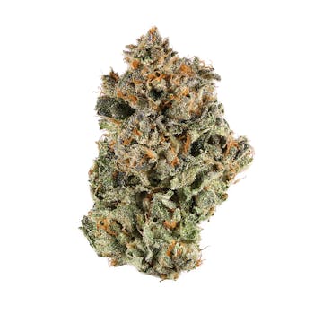 Sour Grapes cannabis strain