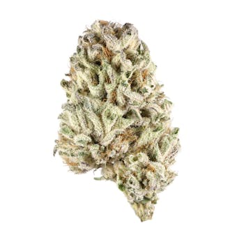 Jack Frost cannabis strain