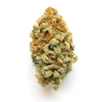 Pineapple Kush cannabis strain