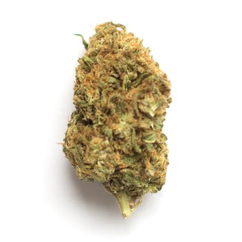 Deadhead OG cannabis strain