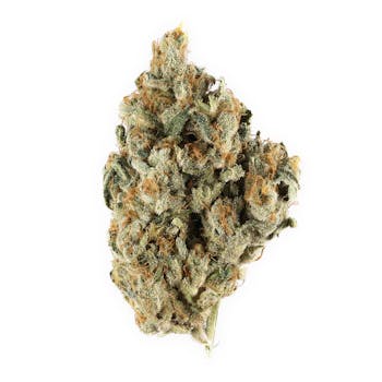 El Jefe cannabis strain