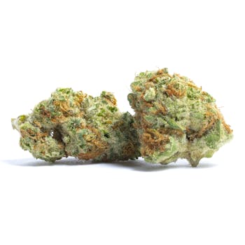 Jillybean cannabis strain