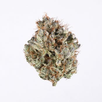 Cinderella 99 cannabis strain