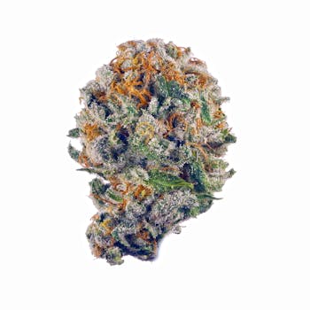 Lavender Jones cannabis strain