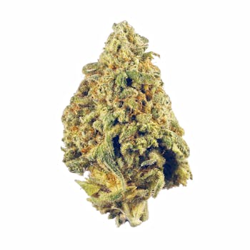 Donkey Butter cannabis strain