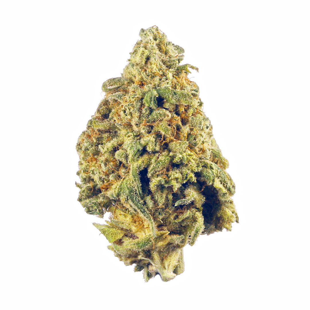 Cereal Milk cannabis strain