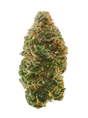 Space Queen cannabis strain