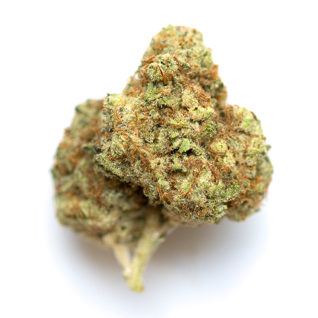 Gelatti cannabis strain