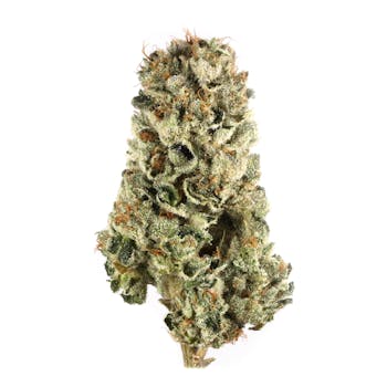 LSD cannabis strain