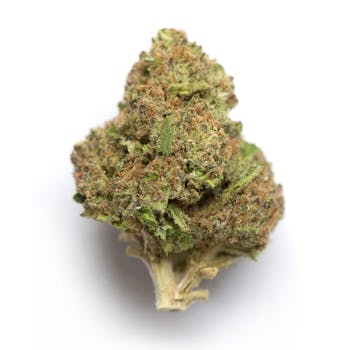 Member Berry cannabis strain