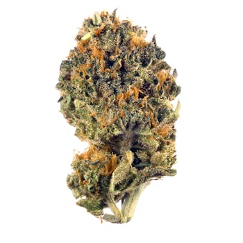 LA Kush Cake cannabis strain