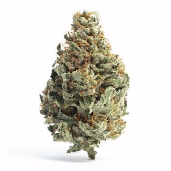 Legend OG cannabis strain