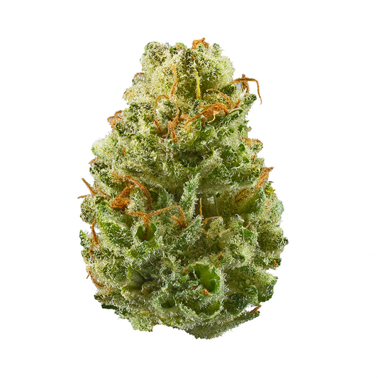 Strawberry Cough cannabis strain