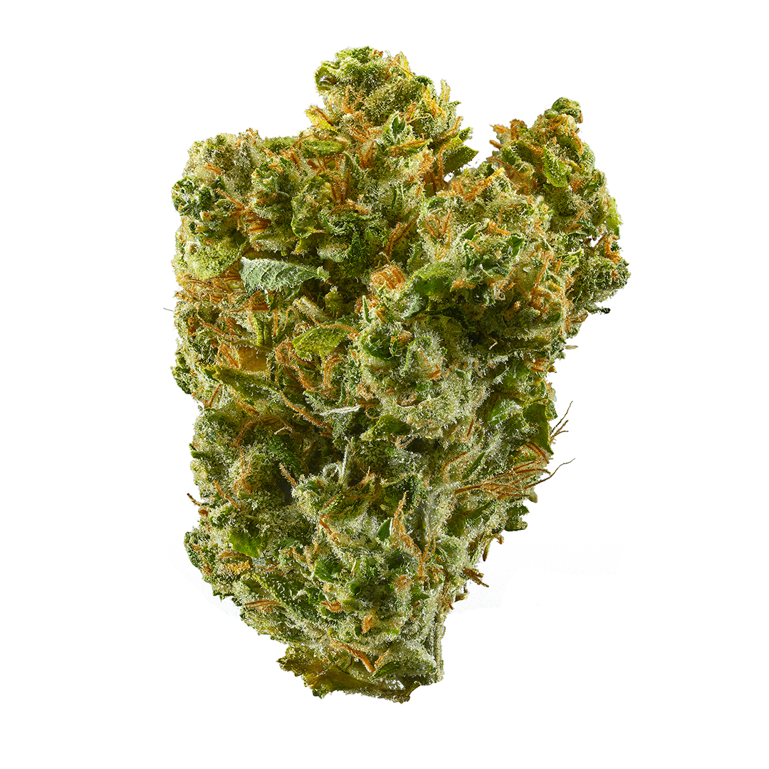 Super Silver Haze cannabis strain
