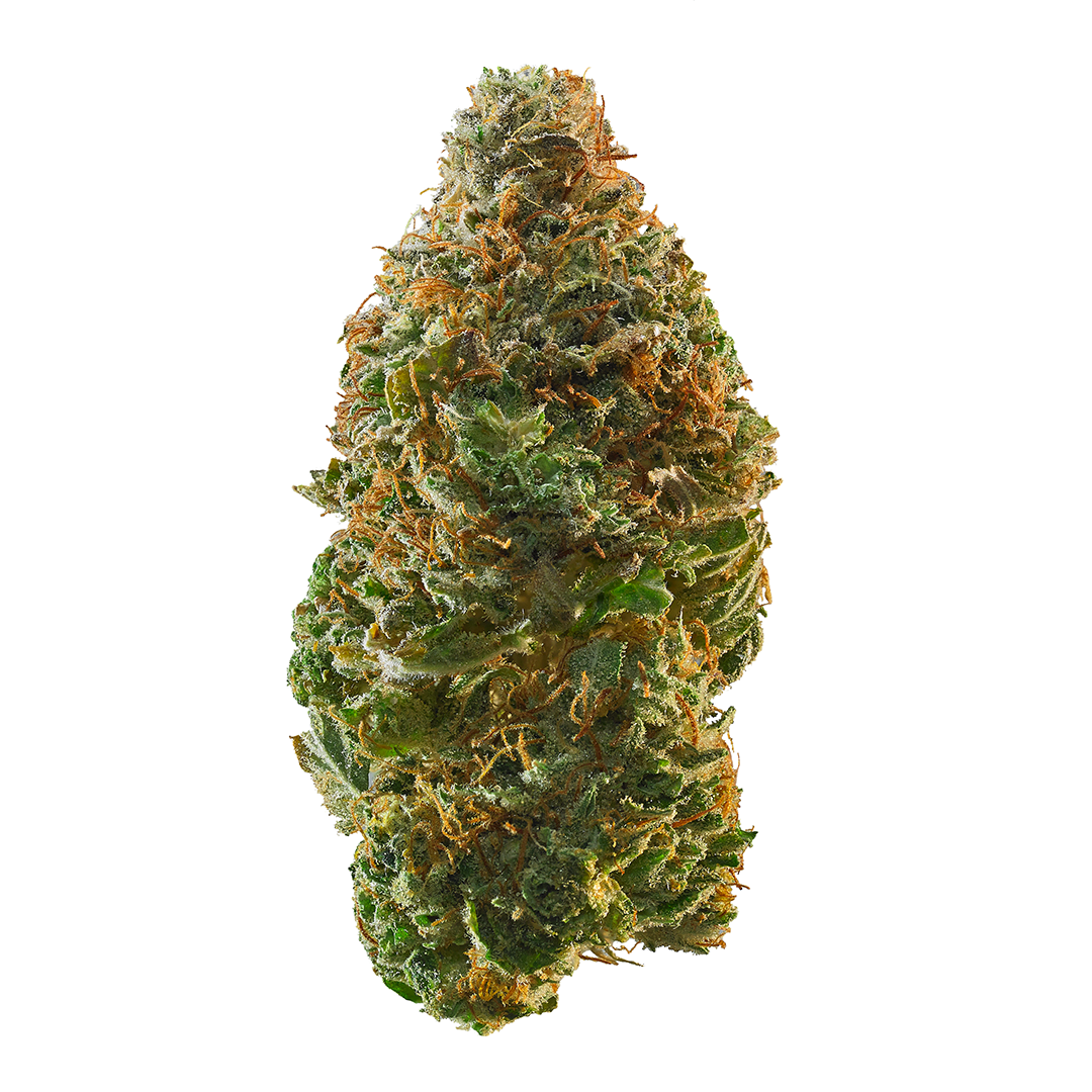 Trainwreck cannabis strain
