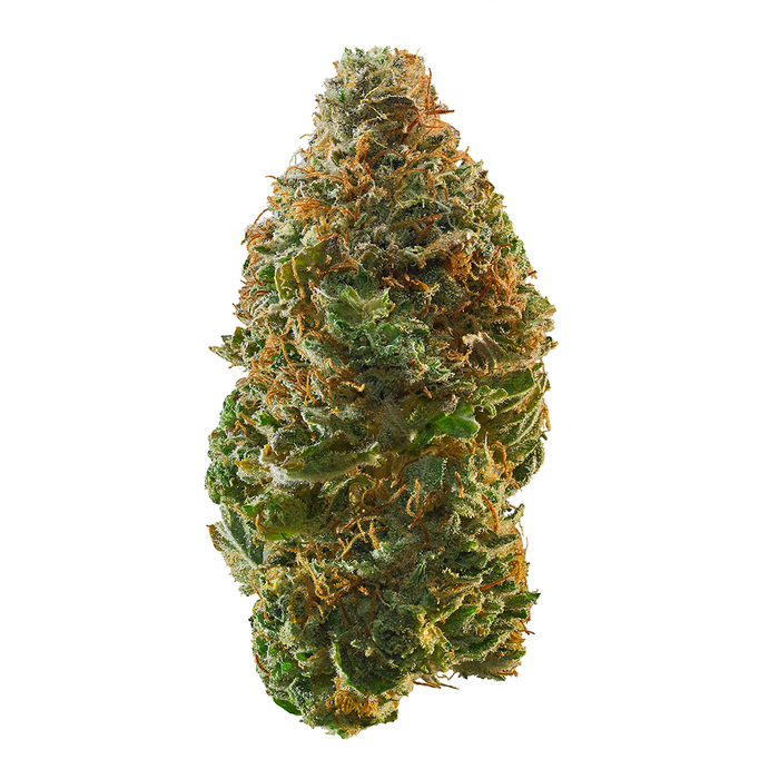 Trainwreck cannabis strain