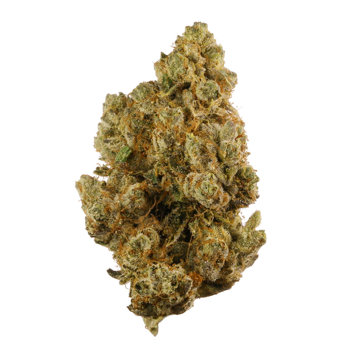 True OG cannabis strain