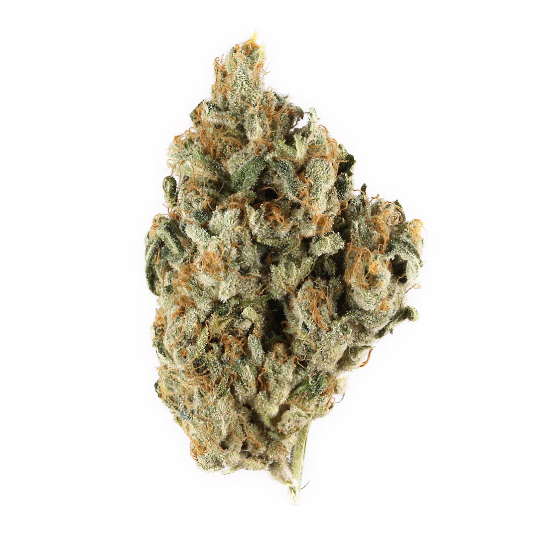 Very Berry Haze cannabis strain
