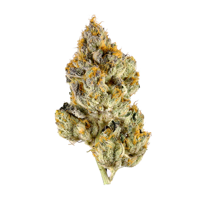 White Tahoe Cookies cannabis strain