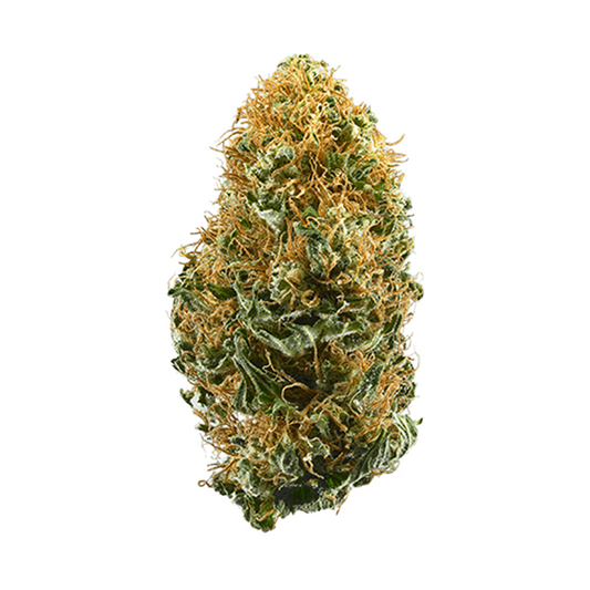 White Widow cannabis strain